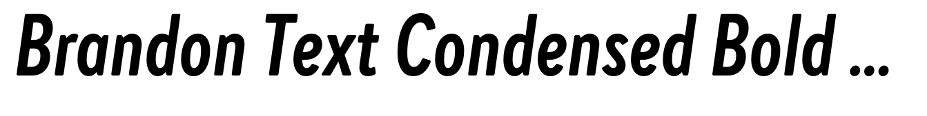 Brandon Text Condensed Bold Italic